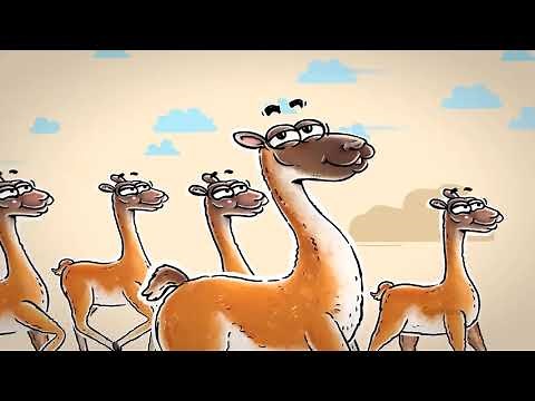 ANIMALES NATIVOS DE CHILE