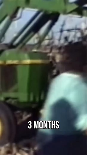 Final Destination on Instagram: "Engine Explodes During Winter Takeoff Emergency. Terrifying engine explosion during winter takeoff creates emergency at 3,200 feet. Pilots battle compressor stall, smoke, and complete engine failure just seconds after gear up."