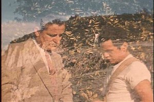 Circa 1950s Fight Erupts During Schoolyard Stock Footage Video (100% Royalty-free) 14509015 | Shutterstock