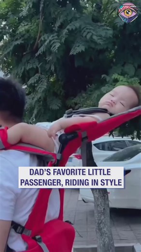 48K views · 148 reactions | Shoulder seat secured, adventure mode on | Now I've Seen Everything | Facebook