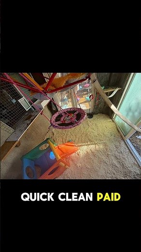 Day 45 — AI Stacked My Entire Day (and I executed) #ai #shorts