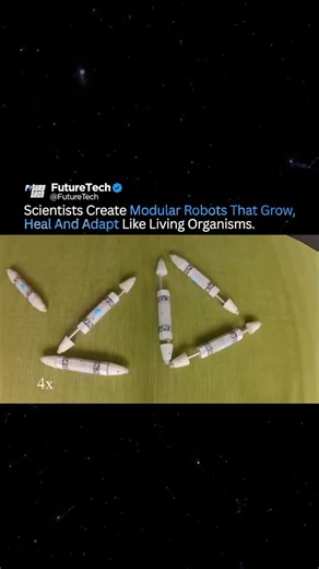 Future Tech | Columbia University scientists have created modular robots capable of growth, self-repair, and adaptation through a process known as “robot... | Instagram