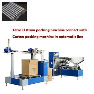[Hot Item] High Speed Plastic Paper Straw Orderly Carton Box Packing Machine