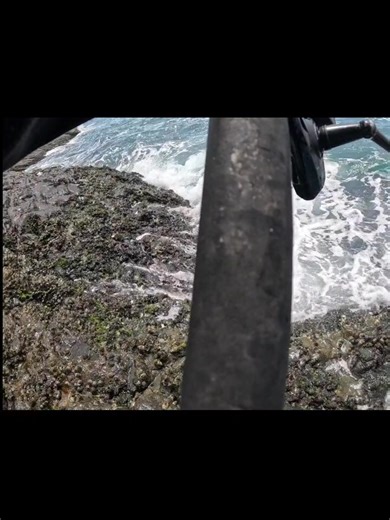 90 cm Goldspotted Rockcod. #fishing #BigCatch #rockfishing | Erick James Fernandez