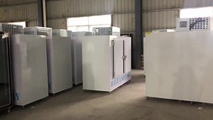 Commercial Ice Storage Merchandiser Outdoor Bags Ice Freezer Cabinet