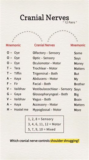 dr.physiotheraphy 📄 on Instagram: "Cranial nerve"