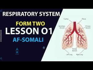 FORM TWO || BIOLOGY || RESPIRATORY SYSTEM || AF-SOMALI