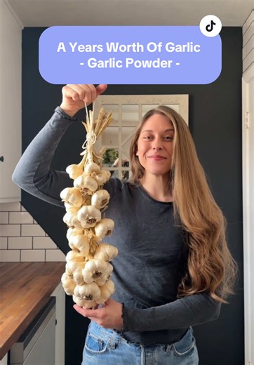 Freeze Dried Garlic Powder for Food Preservation