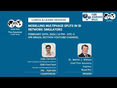 LUNCH & LEARN SESSION - Modelling Multiphase Splits In 1D Network Simulators