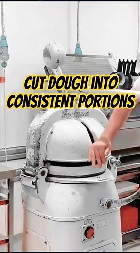 Industrial Dough Ball Maker: The Viral Bread Machine ✨