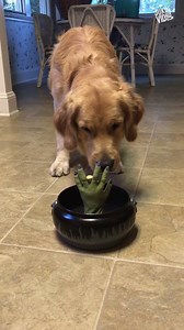 That's a h*ckin' good frighten! | This is Happening