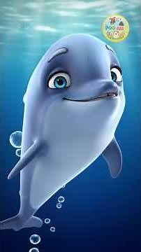 Baby Dolphin | Animal Songs | Poo Kids Songs for Children | Nursery Rhymes & Kids Songs