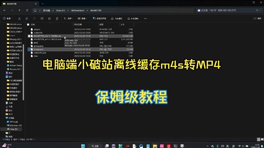 保姆级教程之电脑windows端小破站离线缓存m4s格式转为MP4格式