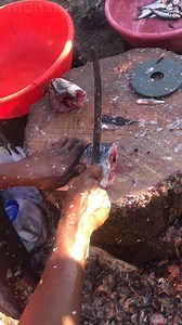 807K views · 305 reactions | Rockin in the fish cutting #skills | Monster Fish Cutting | Facebook