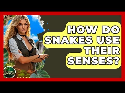 How Do Snakes Use Their Senses? - Reptilian Wonders