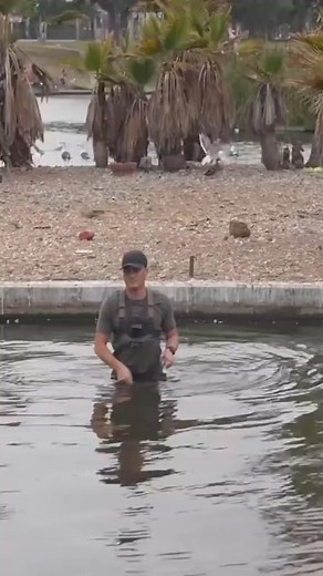 #underwater #scubadiving #treasure #reel #fyp #foryou #fypシ゚ #fypシ゚viralシ #reelsfyp #reelfb #reelviral #virals #viralfbreel #reelvideo | Underwater Exploration