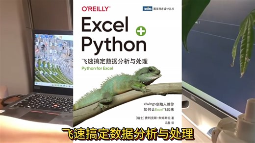 Python Excel效率拉满，搞定数据分析与处理，教你如何让Excel快到飞起！