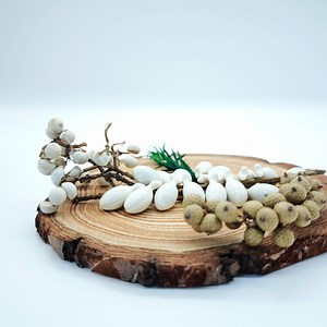 [Hot Item] Red Clover Isoflavones Extract Softgels for Menopause & Bone Health - ODM Services Available