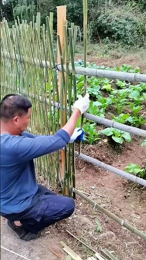 Learn to Build a Bamboo Fence from Scratch!