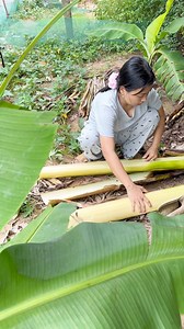 1.8M views · 33K reactions | Coi như duyên chỉ tới đây thôi , chỉ tiếc mình có lòng mà …. 凉 #angicungduoc | Ăn gì cũng được | Facebook