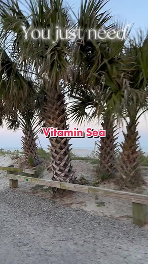 Exploring Paradise at Ocean Lakes Campground