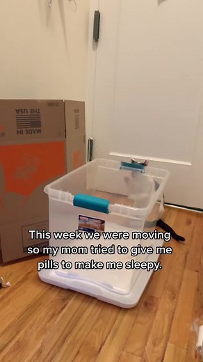 Anyone else know the cat carrier struggle? #cattok #cattiktok #catsoftiktok #fyp #foryou