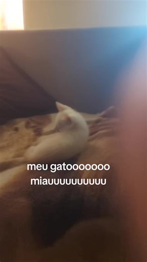 Os vídeos de ᏗᏒᏒᏗᏕፈᏗᏋᏖᏗ (@duduzi35) com оригинальный звук - Takezh