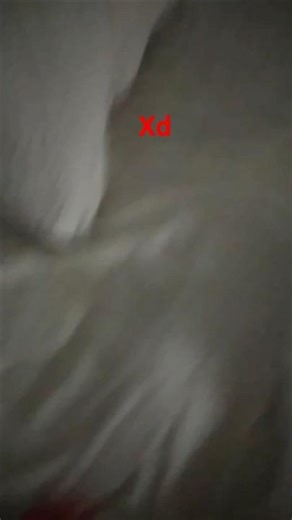 tutorial de como ser npc con hambre XD