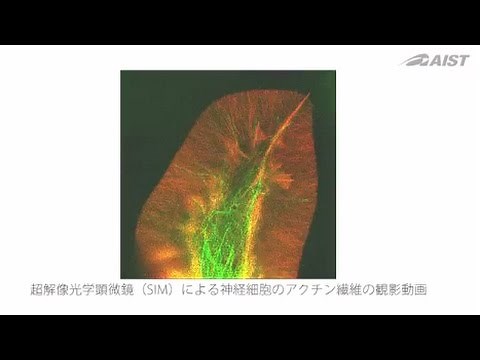 Nano-Imaging Solutions Project (NISP)の紹介【産総研公式】