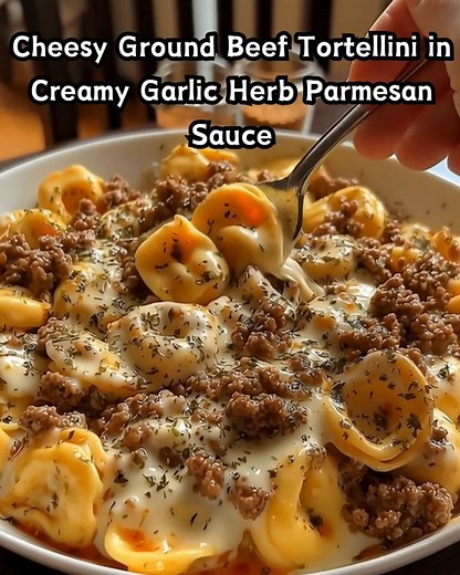 Cheesy Ground Beef Tortellini in Creamy Garlic Herb Parmesan Sauce | Kennedy Ole Recipes