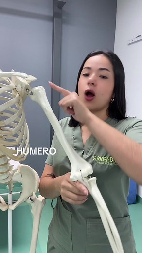 Anatomía: Huesos del Cuerpo Humano