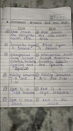 Difference between DNA and RNA