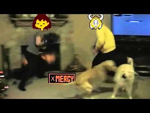 Asgore Battle in a nutshell