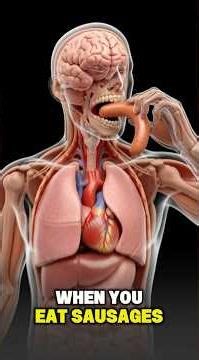 Watch Your Food Become You #Biology #HumanBody #Science