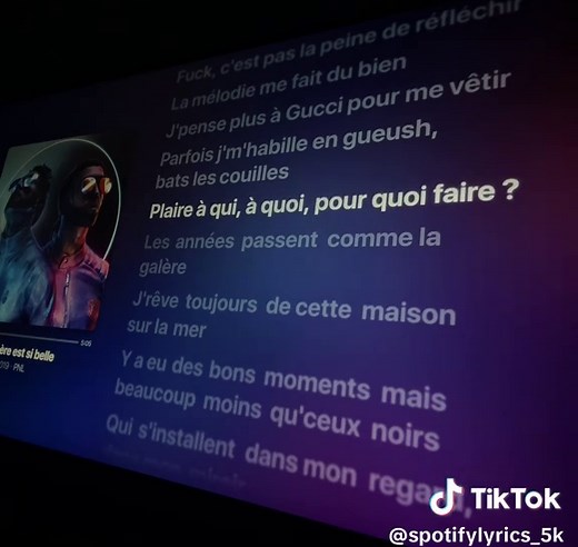 La misère est si belle : Analyse de PNL