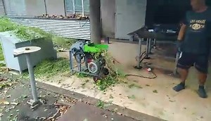 "GC-200i FORAGE CHOPPER" >>automatic feed >>700 to 1000kg/hour >>auto clutch feeder mechanism >>with 6.5hp gasoline engine /3hp electric >>suitable for rice straw,corn stalk, napier, banana trunks, etc. | JIBS ONE STOP SHOP Machineries