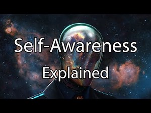 Self Awareness Explained - Beyond the 5th Level (Scientific/Psychology)