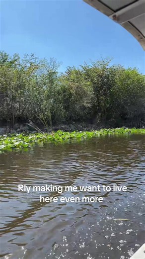 Dougherty Dozen Latest News 2026