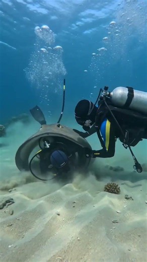 Giant Stingray Traps a Scuba Diver — His Partner Rushes In 😱🌊