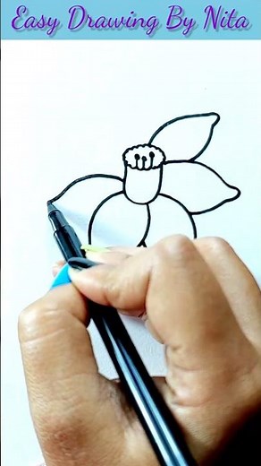 Daffodil Flower Drawing..