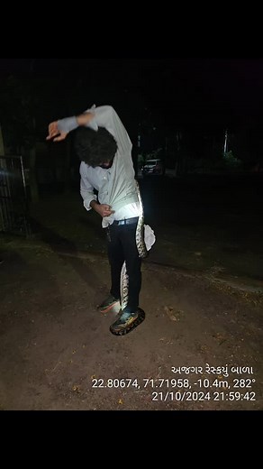 DarSnake-The Reptile Rescue | python molurus Indian rock python #DarSnake #snakelover #snakeofindia #SnakeRescue #snake #reptil #reptiles #gujrat #indian #wild... | Instagram