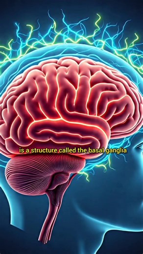 4K views · 84 reactions | The dark truth behind your brain  #truth | Podcast Clips | Facebook