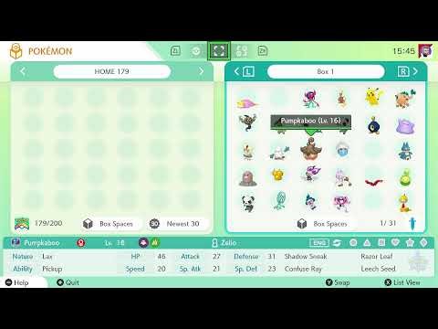 Pokemon Sword Nuzlocke, My First Nuzlocke