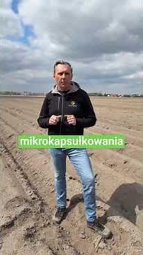 Jak wybrać skuteczny środek na chwasty w ziemniakach?