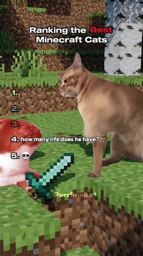 Ranking the Best Minecraft Cats 😸 | Part 4 #shorts