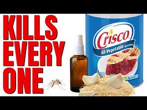 Guaranteed To Kill Every Mosquito In Your Yard | No Chemicals Or Toxic Products