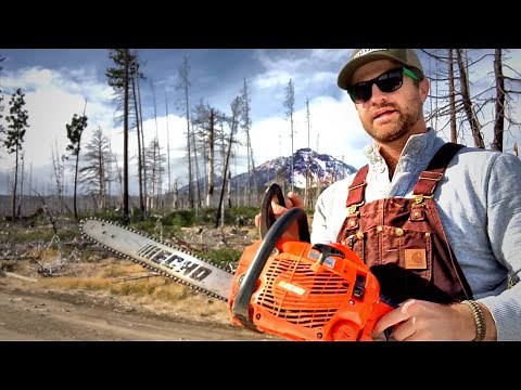 Echo Chainsaw CS-352... can it handle the job?
