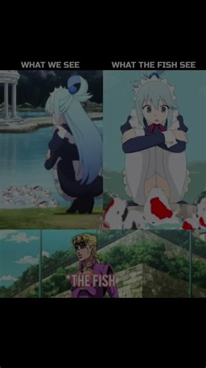 What we see vs what the fish see 😂🐟