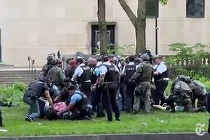 Dozens Are Arrested in Pro-Palestinian Protest at Art Institute of Chicago (Published 2024)