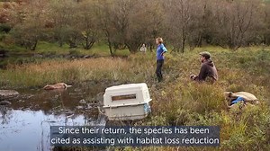 15 reactions | Royal Zoological Society of Scotland (RZSS) Edinburgh...